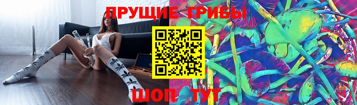 Галлюциногенные грибы Cubensis Алушта