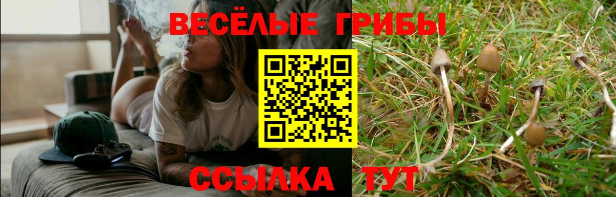 Галлюциногенные грибы прущие грибы  Вход с VPN  Псилоцибиновые грибы Cubensis  Алушта 